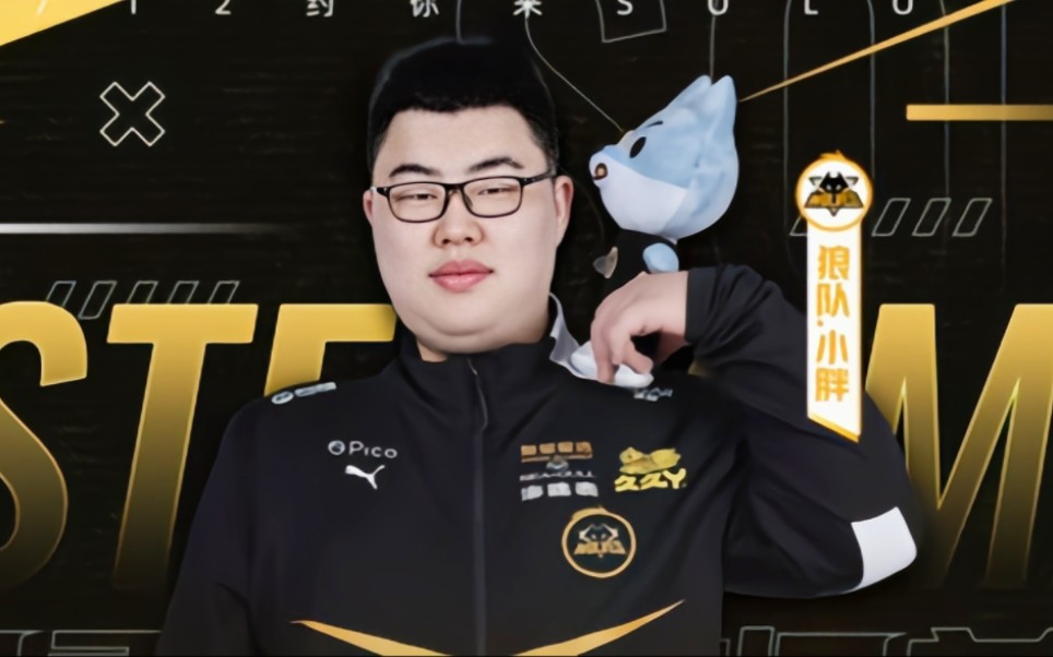 DOTA2 VP战队宣布接受官方决定：TI预选赛见！